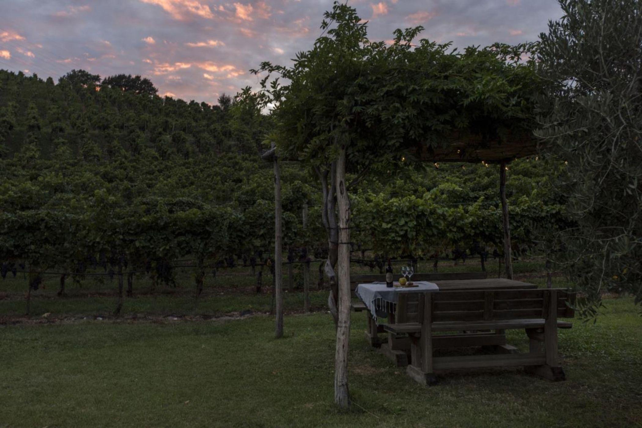 Residence La Vigna Arco Dış mekan fotoğraf