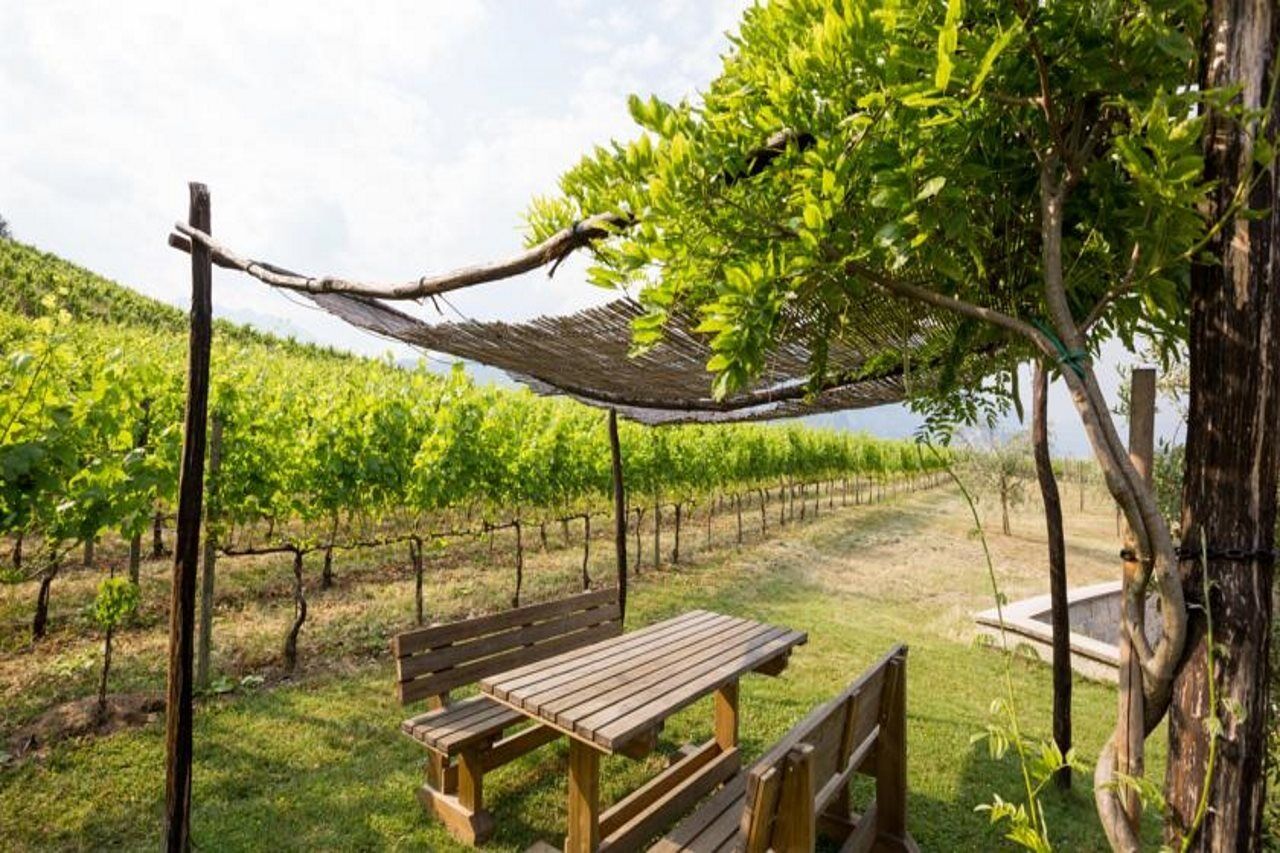Residence La Vigna Arco Dış mekan fotoğraf