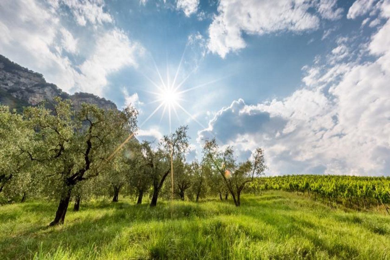 Residence La Vigna Arco Dış mekan fotoğraf